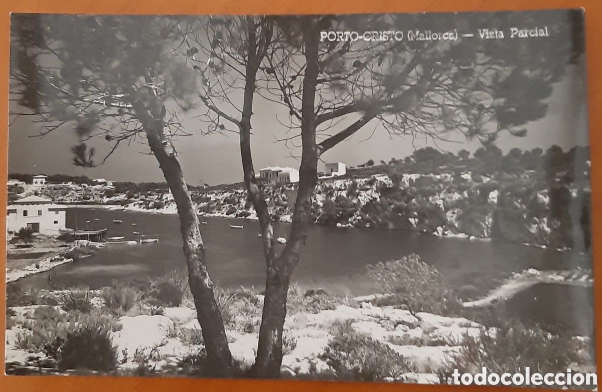 Postales: Postal Mallorca Porto Cristo. Sin escribir. R10120