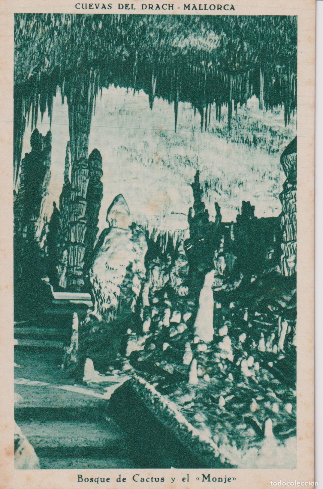 Postales: MALLORCA, CUEVAS DEL DRACH, BOSQUE DE CACTUS Y EL MONE - CLIS&Eacute; SERVERA - S/C