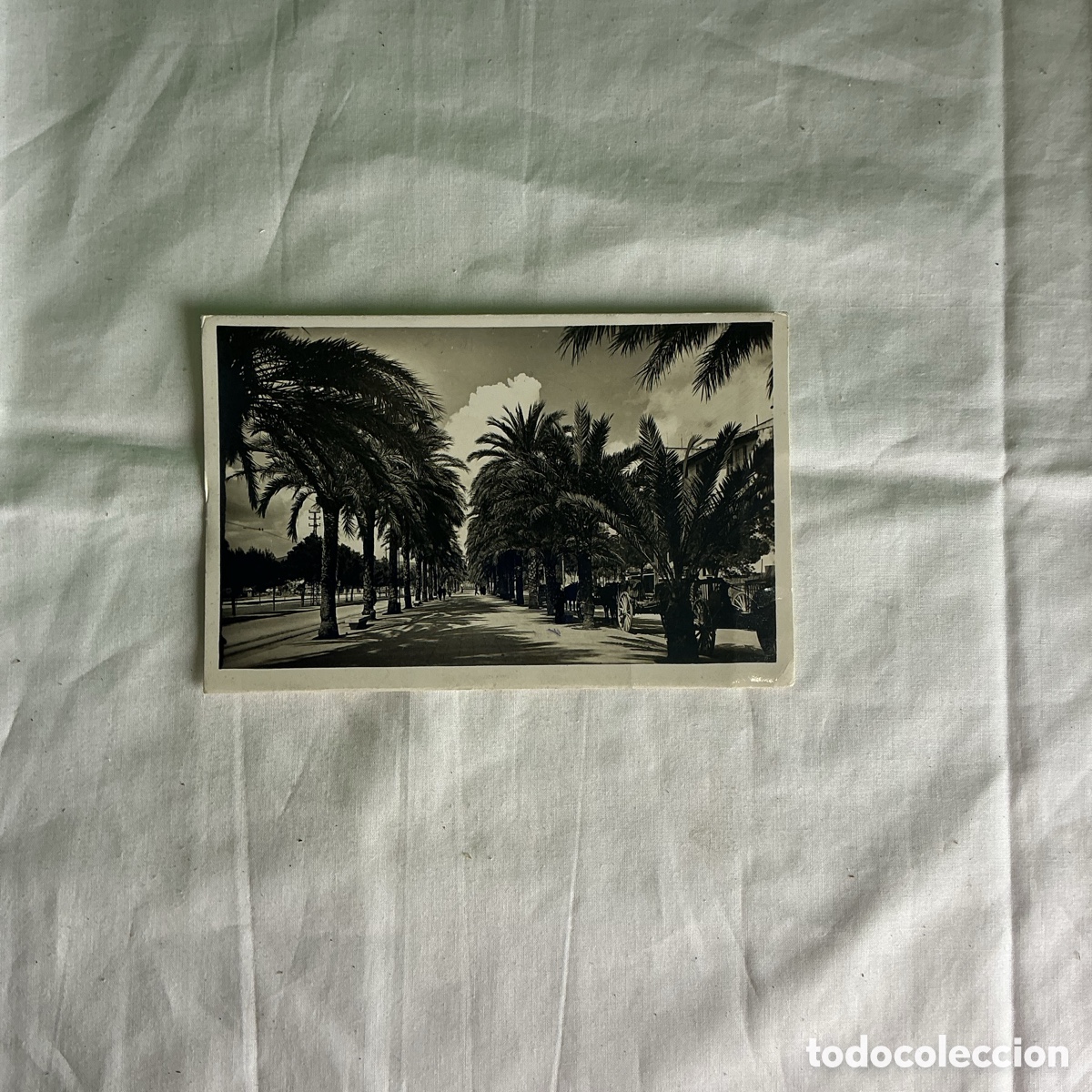 Postales: Postal Palma de Mallorca Paseo de Sagrera Blanco y negro Original de la &eacute;poca 1950-1960