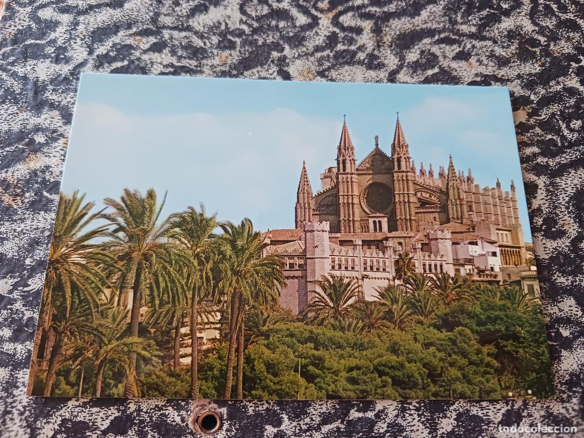 Postales: 1081 mallorca, palma, la catedral y la lonja, ed. palma
