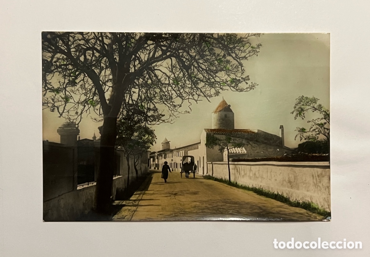 Postales: SAN LUIS (Menorca) Postal No.72, Carretera para Mah&oacute;n. Editorial fotogr&aacute;fica (a.1957) circulada