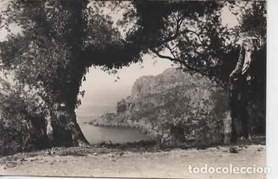 Postales: MALLORCA ESCRITA CARRETERA DE SOLLER