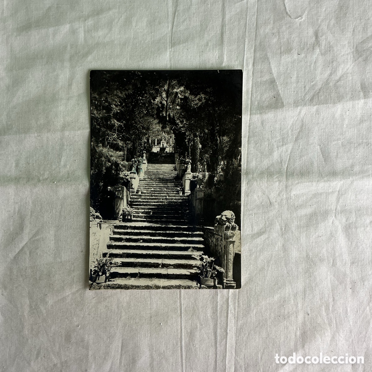 Postales: Postal Mallorca &ndash; Jardines de Raixa, Escalera Monumental &ndash; Blanco y negro Original de la &eacute;poca