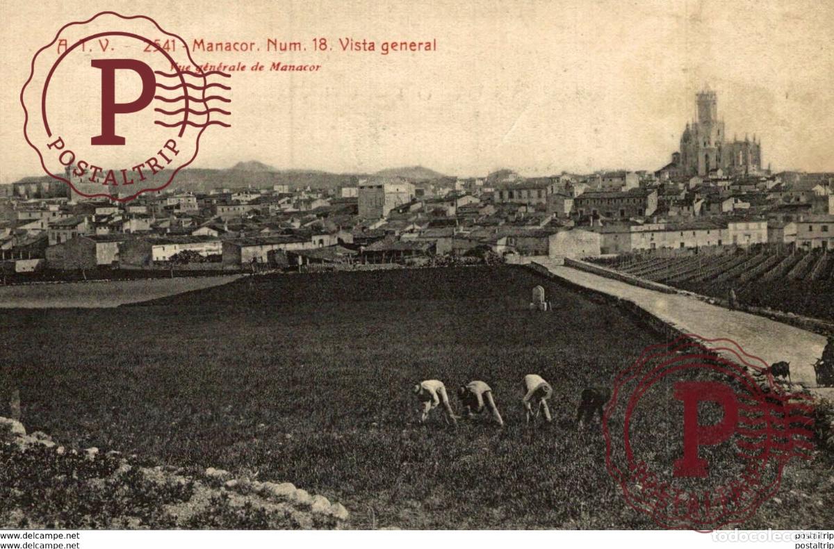 Postales: MANACOR. VISTA GENERAL
