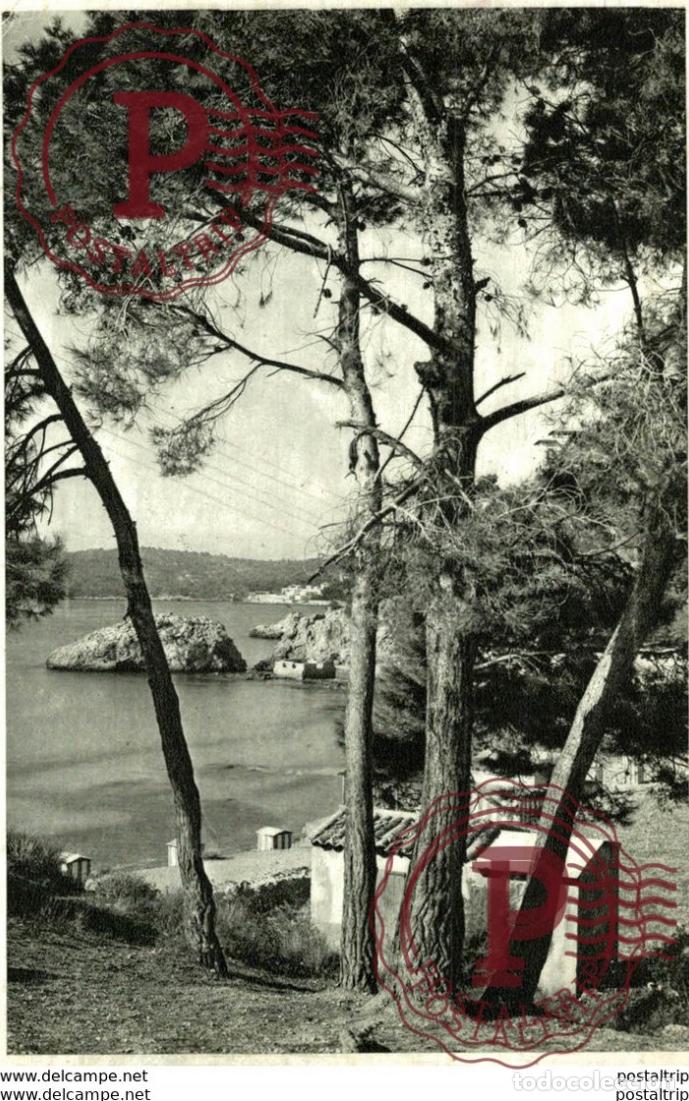 Cartes Postales: 32-PALMA. PLAYA DE CALAMAYOR