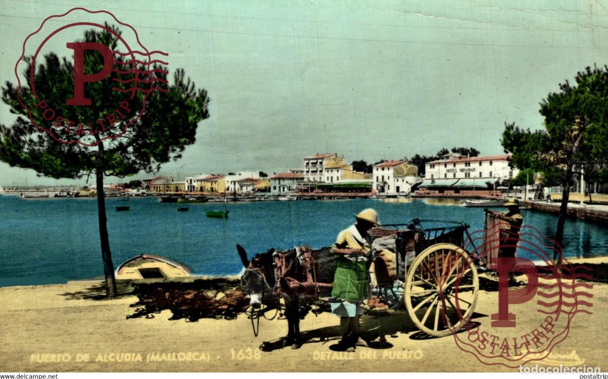 Postales: MALLORCA. PUERTO ALCUDIA. DETALLE DEL PUERTO.