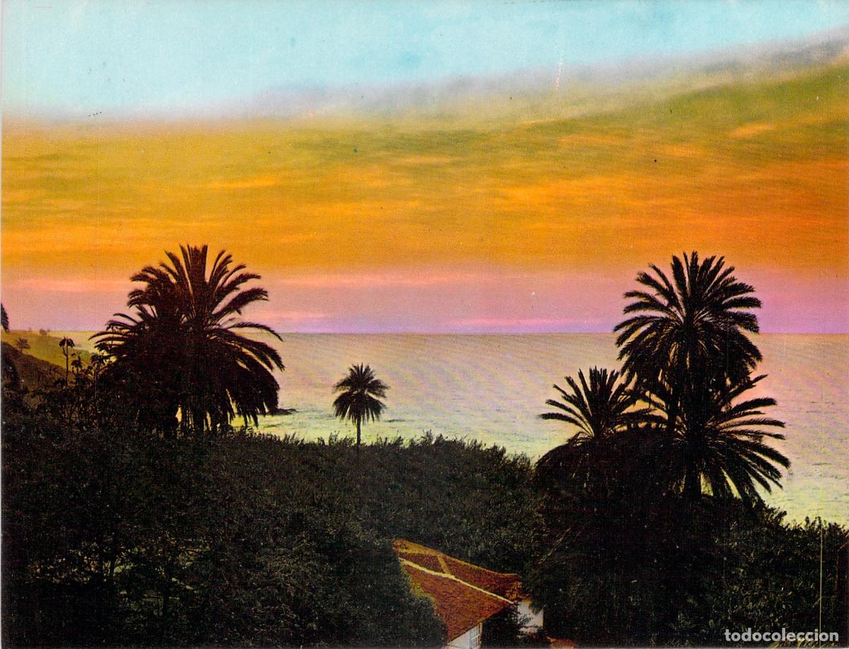 Postales: Postal de atardecer con palmeras en la costa