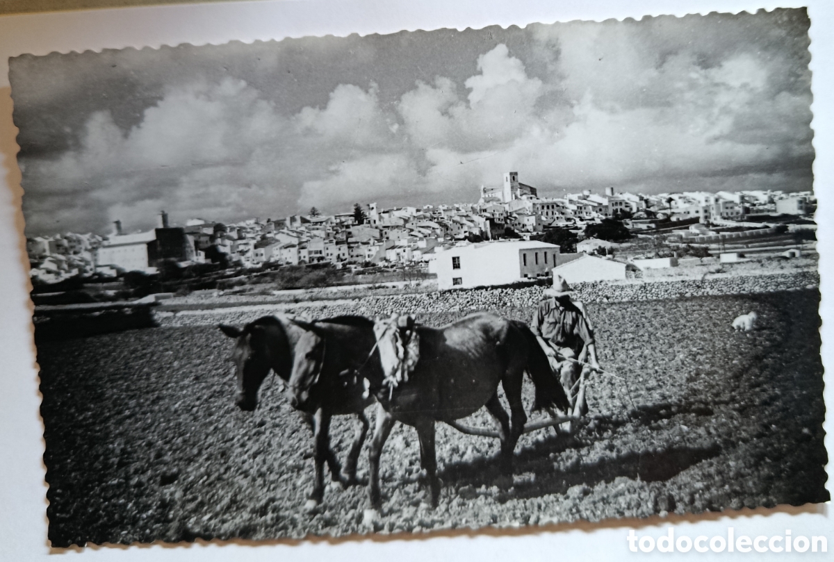 Postales: MENORCA ALAYOR POSTAL FOTOGRAFICA. FOTO RADIO ALAYOR. SIN CIRCULAR .