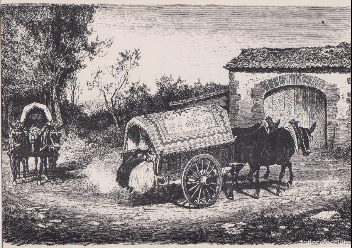 Postales: MALLORCA, CARRO DE PARELL CON V&Aacute;NOVA DE FIESTA &ndash; EDICIONS CORT 85 &ndash; S/C