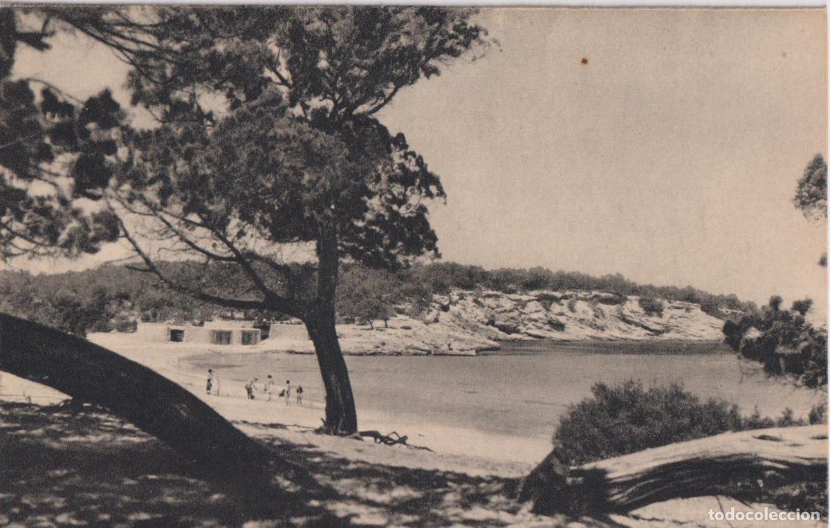 Postales: IBIZA, SAN ANTONIO ABAD, PLAYA LA BASSA &ndash; FOTO VI&Ntilde;ETS 66 &ndash; S/C