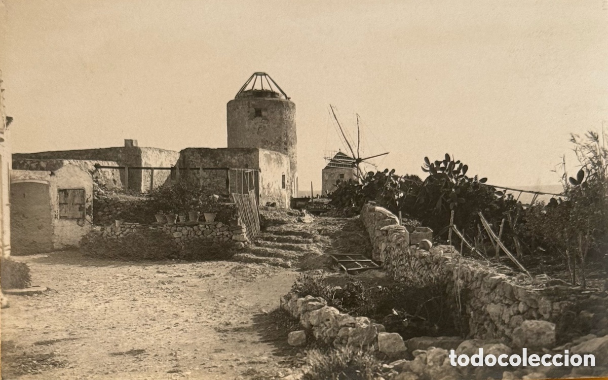 Postales: Ibiza los molinos. Postal fotogr&aacute;fica muy rara. Colecci&oacute;n Bestard 340