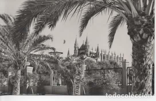 Postales: BALEARES ESCRITA MALLORCA PALMA CATEDRAL DESDE SAGRERA
