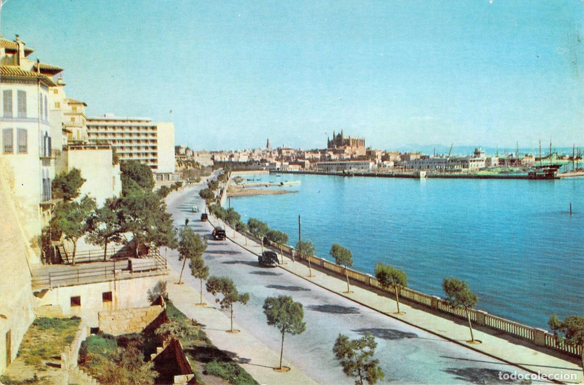 Postales: Postal de Palma de Mallorca, Paseo Mar&iacute;timo y Catedral