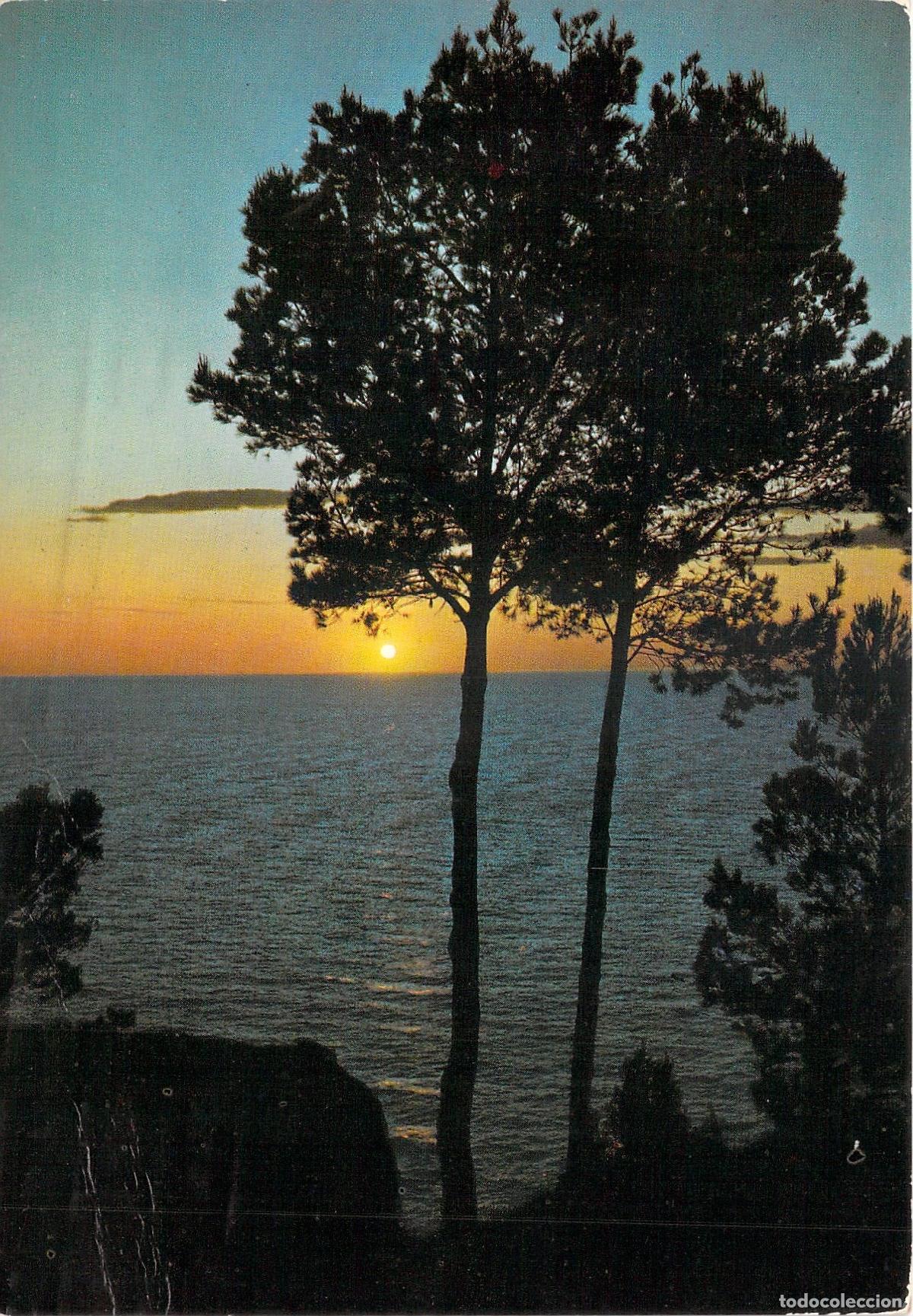 Postales: Postal de Puesta de Sol en Mallorca