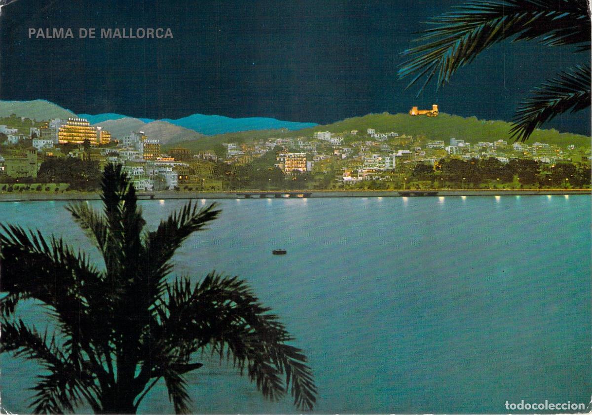 Postales: Postal de Palma de Mallorca Paseo Mar&iacute;timo nocturno