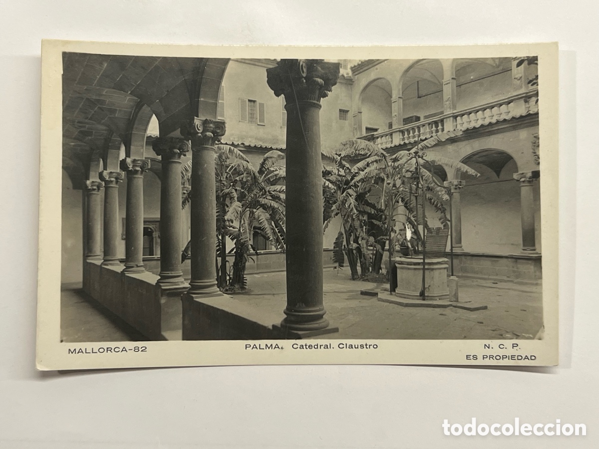 Postales: MALLORCA Postal No.82, PALMA, Catedral. Claustro. Foto N.C.P. (h.1930?) S/C