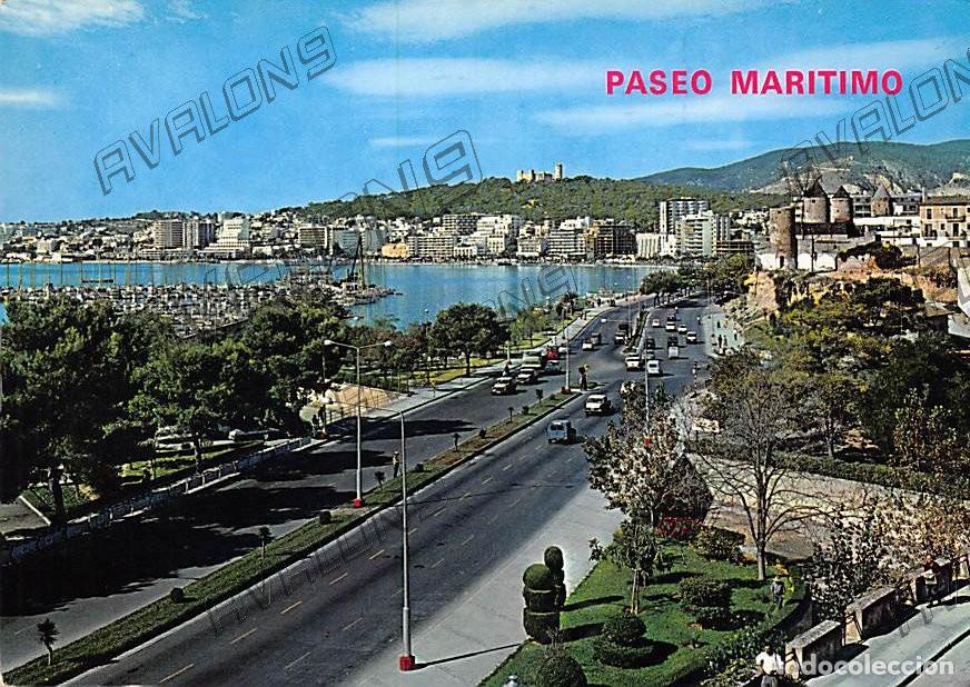 Postales: Paseo Mar&iacute;timo de Palma de Mallorca - A&ntilde;os 60 - Sin Circular