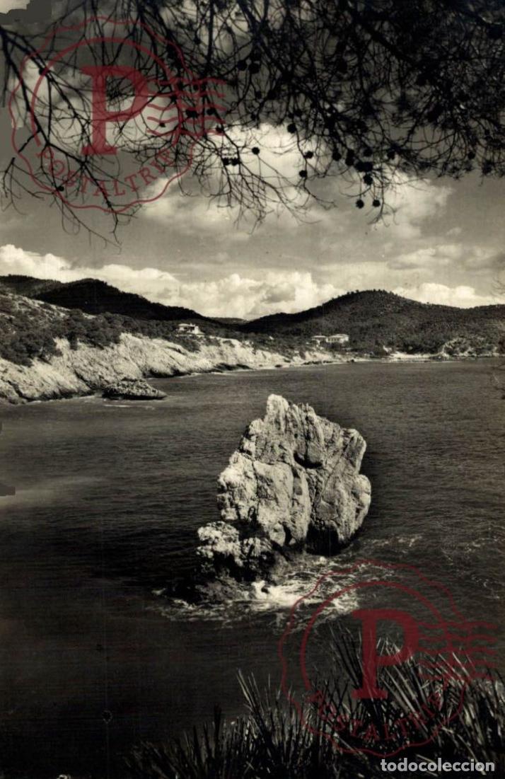 Postales: MALLORCA. Camp De Mar. MALLORCA. ISLAS BALEARES. ESPA&Ntilde;A ESPAGNE SPAIN.