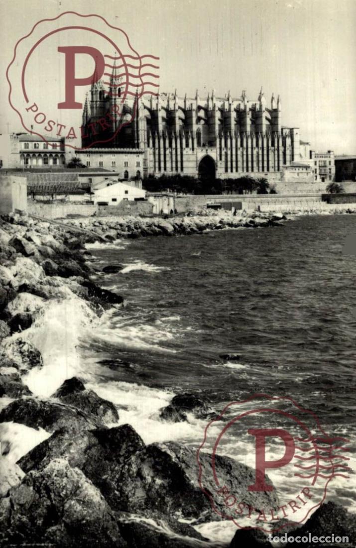 Postales: PALMA DE MALLORCA. La Catedral Desde El Puerto. MALLORCA. ISLAS BALEARES. ESPA&Ntilde;A ESPAGNE SPAIN.