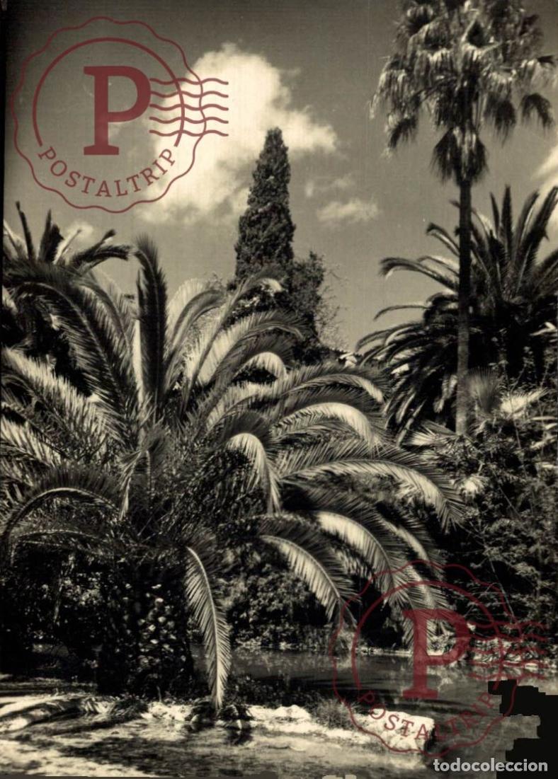 Postales: MALLORCA. Jardines De Alfabia, Detalle Del Lugo. MALLORCA. ISLAS BALEARES. ESPA&Ntilde;A ESPAGNE SPAIN.