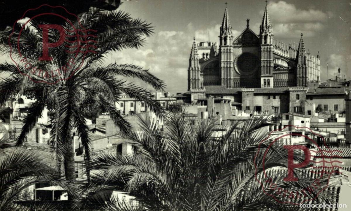 Postales: PALMA DE MALLORCA. La Catedral Desde Segrera. MALLORCA. ISLAS BALEARES. ESPA&Ntilde;A ESPAGNE SPAIN.
