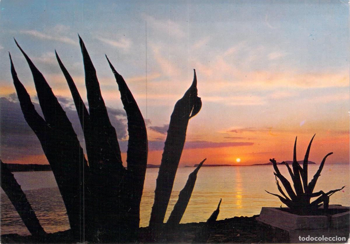 Postales: Postal de puesta de sol sobre el mar en Mallorca