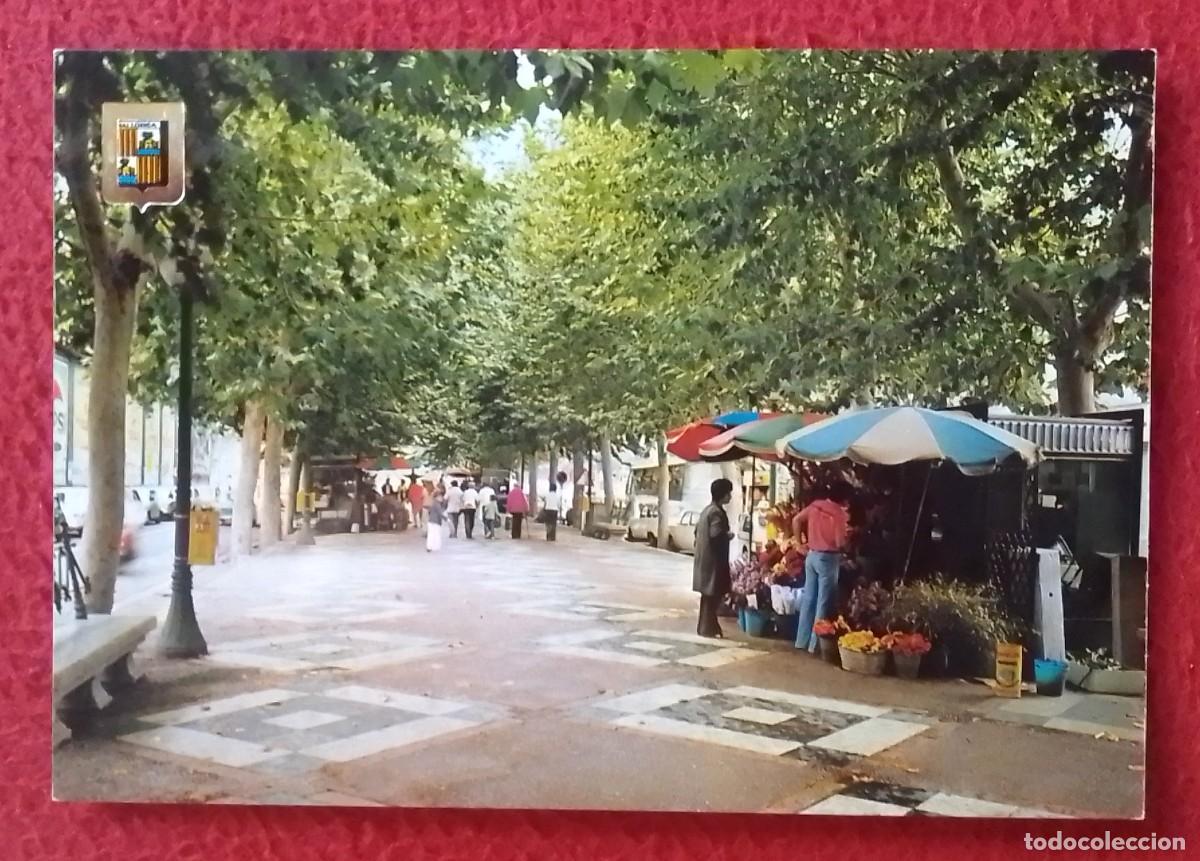 Postales: ANTIGUA POSTAL POST CARD BALEARIC ISLANDS MALLORCA PALMA PASEO DE LA RAMBLA PROMENADE..SPAIN SPANIEN