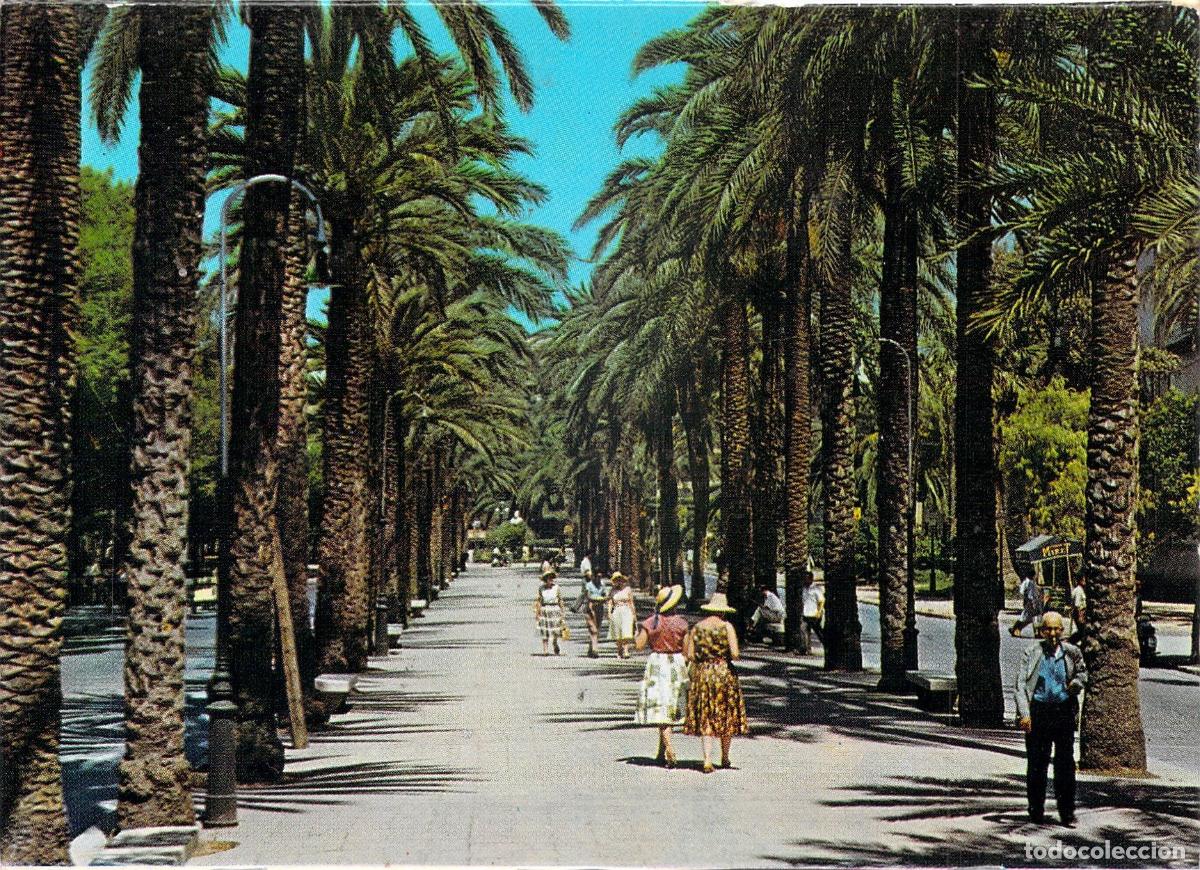 Postales: Postal de Palma de Mallorca Paseo de Sagrera