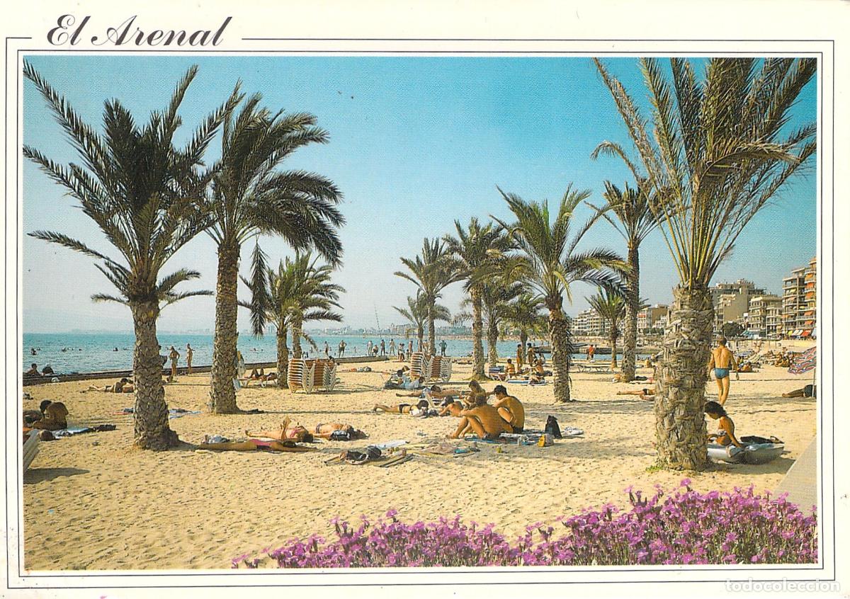 Postales: Postal de El Arenal, Playa y Palmeras en Mallorca, Islas Baleares