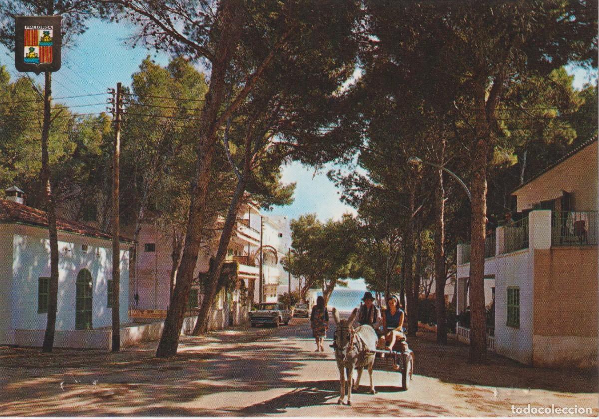Postales: (1651) MALLORCA. CALA MILLOR. PAREJA EN UN CARRO TIRADO POR UN BURRO - 6 AGUJEROS DE CHINCHETA