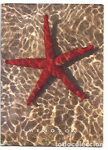 Postales: &rdquo; ESTRELLA DE MAR &rdquo;.- MENORCA