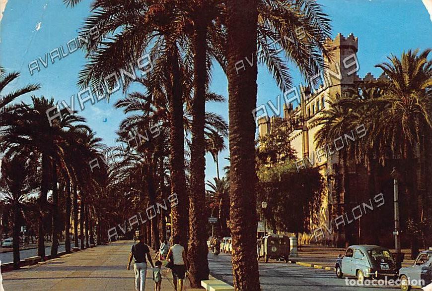 Postales: Paseo de Sagrera y La Lonja (Palma de Mallorca) - Sin circular, a&ntilde;os 60