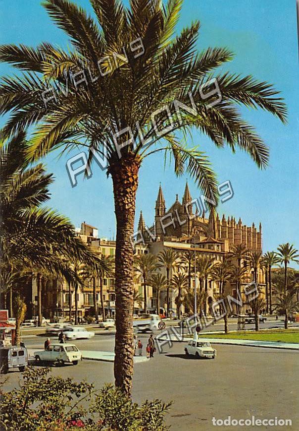 Postales: Paseo Sagrera y la Catedral (Palma de Mallorca) - A&ntilde;os 60 - Sin Circular