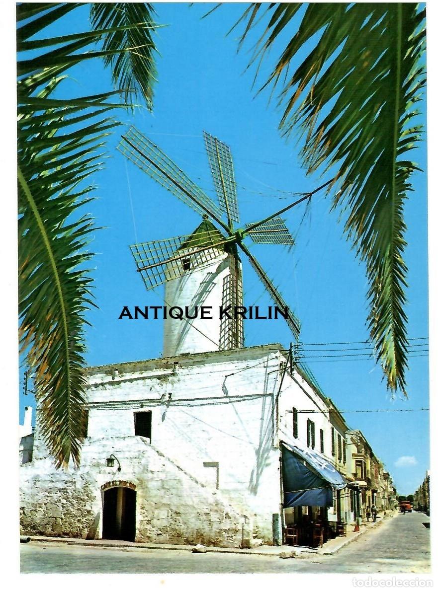 Postales: MENORCA / CIUDADELA N&ordm; 95 TIPICO MOLINA / EXCL. LUCIA MORA / SIN FRANQUEAR