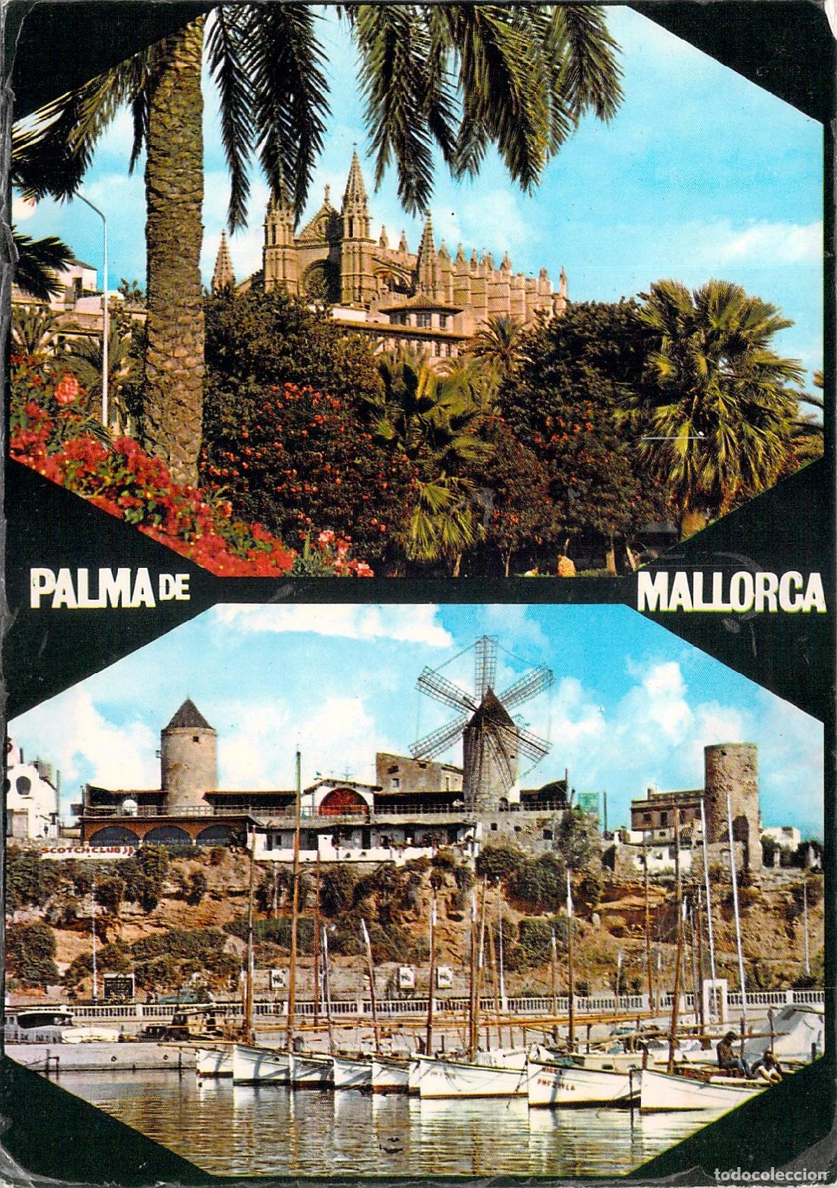 Postales: Postal de Palma de Mallorca con la Catedral y los Molinos del Jonquet