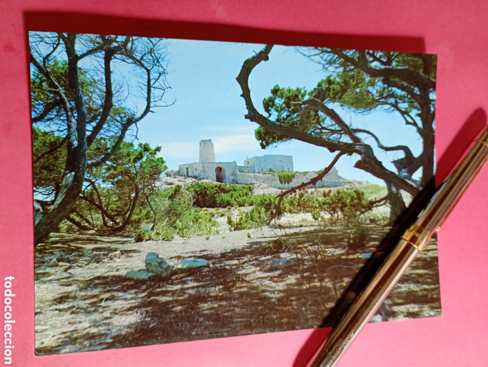 Postales: formentera (pitiusas baleares) art&iacute;sticas sabinas con molino al fondo