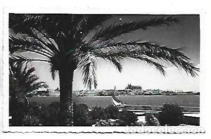 Postales: PALMA - MALLORCA / BALEARES