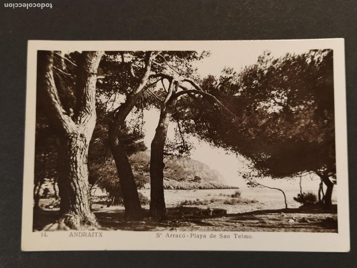 Postales: ANDRAITX - S'ARRACO - PLAYA DE SAN TELMO - EDITORIAL FOTOGRAFICA - POSTAL ANTIGUA -(116.648)