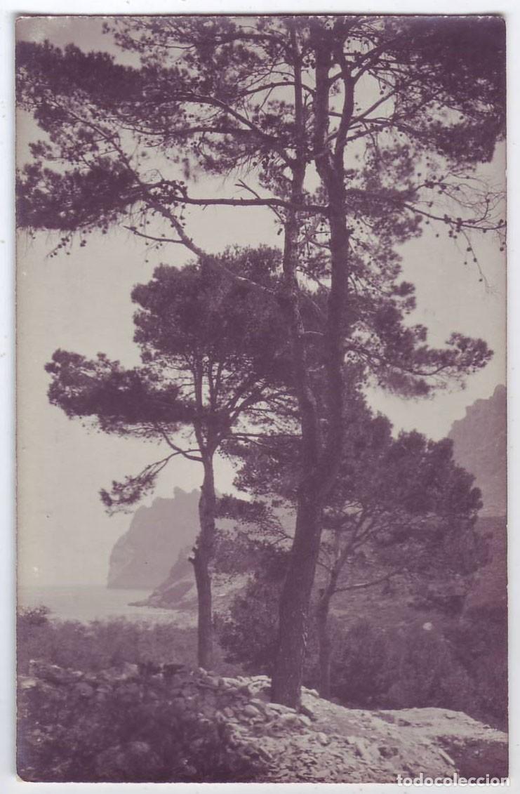 Postales: Mallorca: Pollensa. San Vicente. No consta editor. No circulada (A&ntilde;os 20-30)