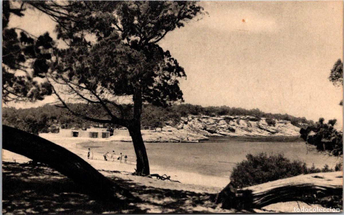 Postales: Ibiza - San Antonio Abad - Playa La Bassa - Vi&ntilde;ets 66 - 140x87mm