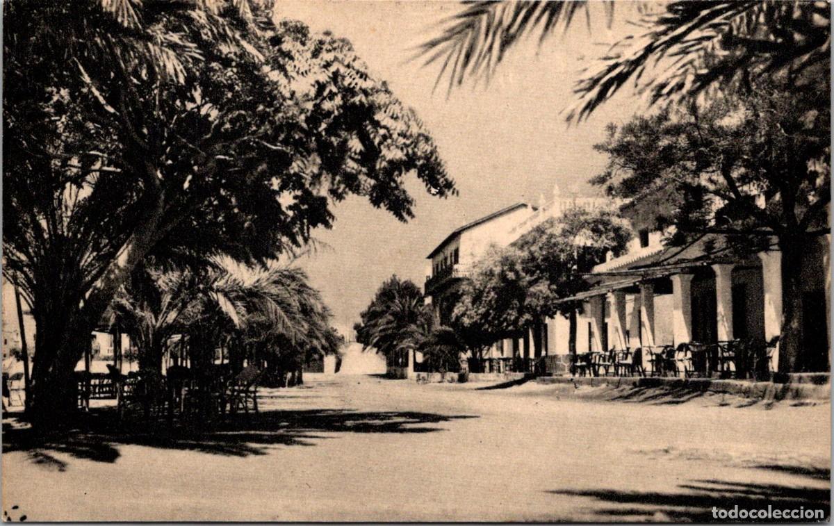 Postales: Ibiza - San Antonio Abad - Calle Balansat - Vi&ntilde;ets 56 B - 140x88mm
