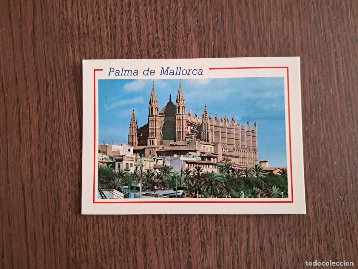 Postales: postal de Espa&ntilde;a, catedral de Palma de Mallorca, La Seu, ediciones Palma, a&ntilde;o 1988.