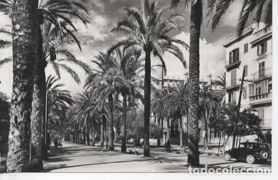 Postales: MALLORCA ESCRITA PALMA PASEO DE SAGRERA