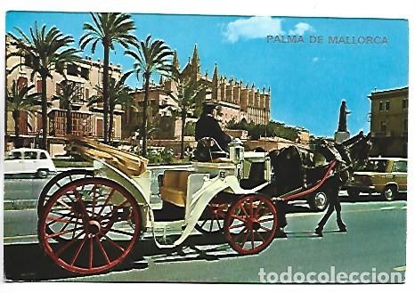 Postales: PASEO SAGRERA.- PALMA / MALLORCA