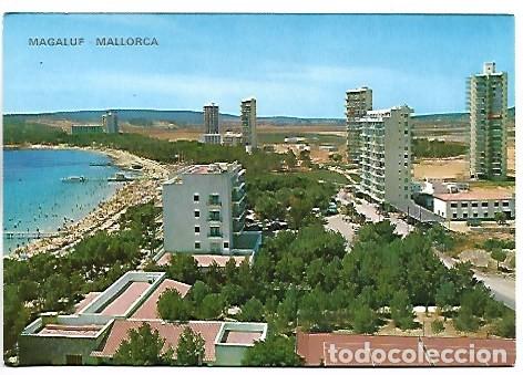 Postales: PLAYAS MAGALUF.- MALLORCA