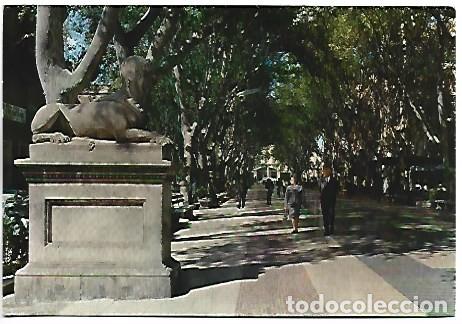 Postales: PASEO DEL BORNE.- PALMA / MALLORCA