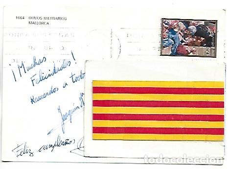 Postales: OLIVOS MILENARIOS.- MALLORCA - Foto 2
