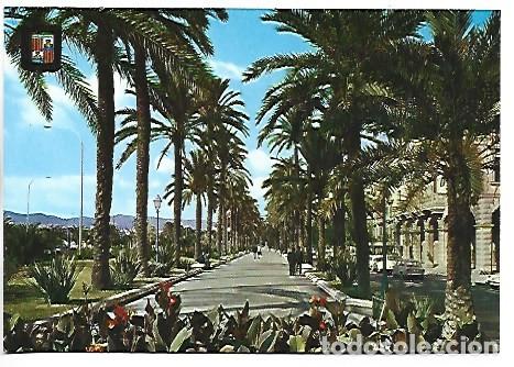 Postales: PASEO SAGRERA.- PALMA / MALLORCA