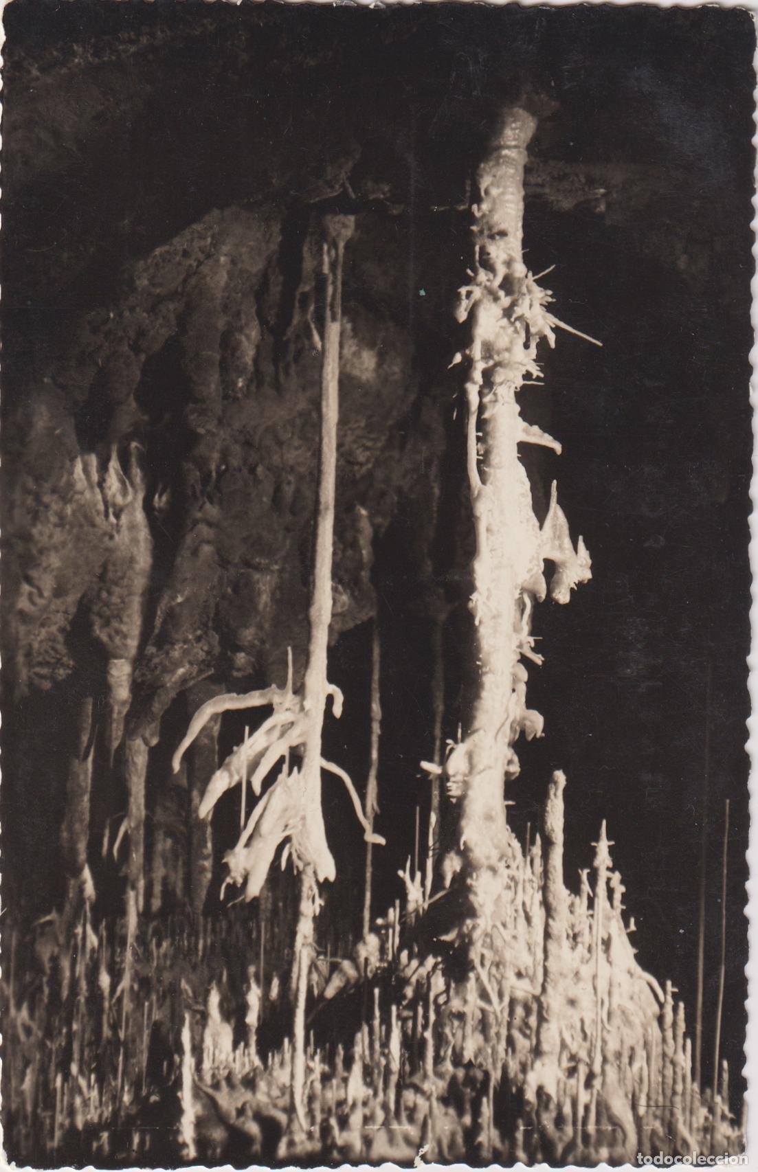 Postales: PORTO CRISTO, MANACOR, CUEVAS DELS HAMS &ndash; SUE&Ntilde;O DE UN ANGEL &ndash; J.VENY &ndash; S/C