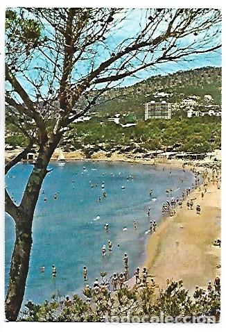 Postales: PLAYA - BEACH.- PAGUERA / MALLORCA
